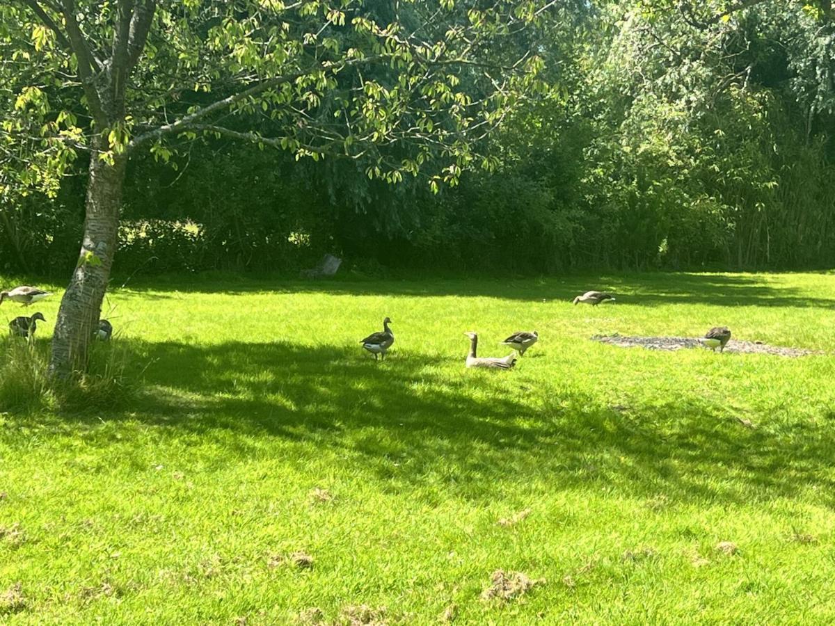 Adorable Two Bed Norfolk Broads Holiday Home - River Views With Moorings & Fishing Stalham Extérieur photo